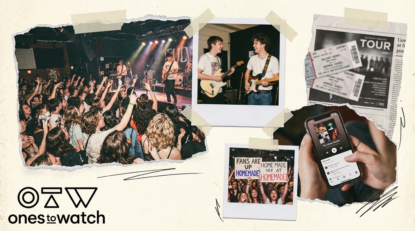 Best Chartmetric Alternatives for Artist Discovery