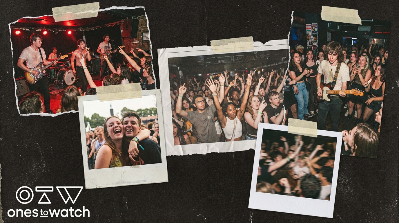 How to Find Credible Playlist Curators for Music Discovery