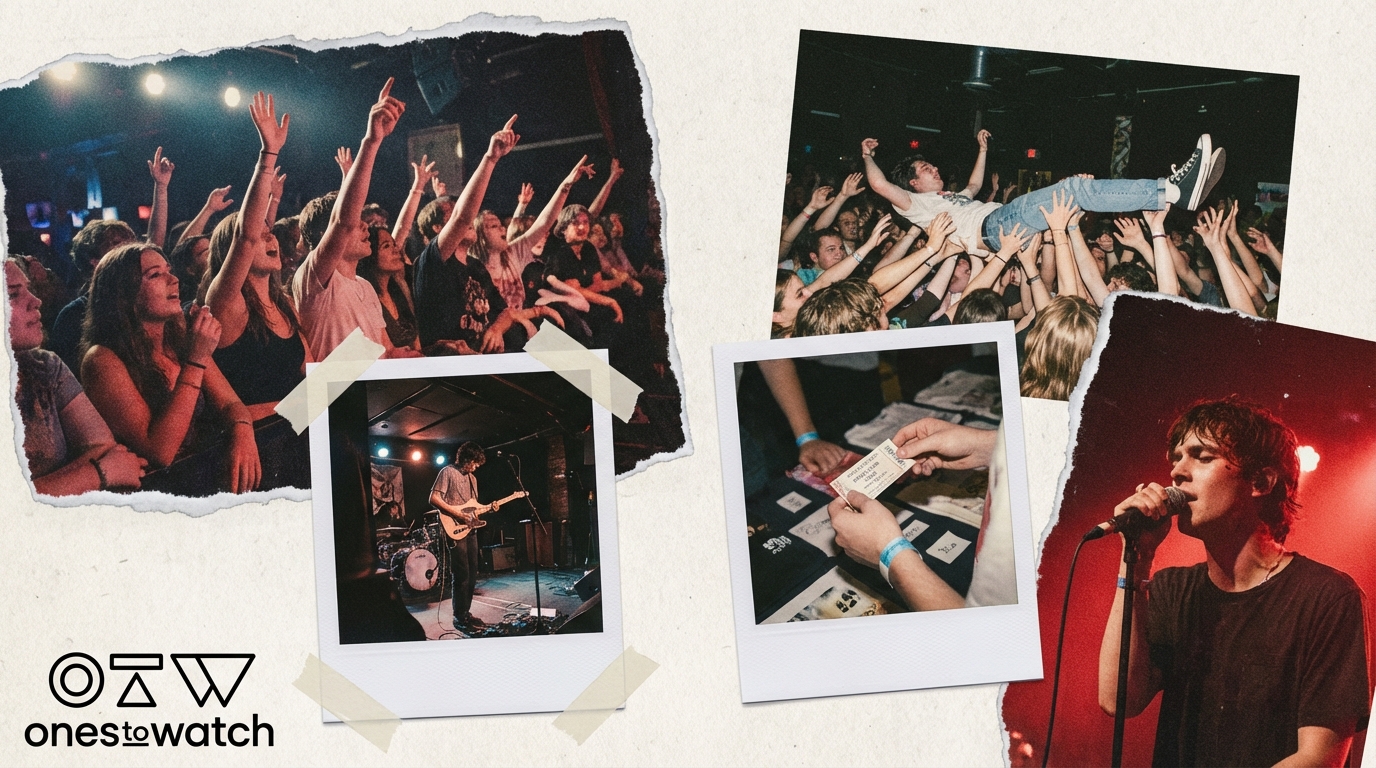 Compare Chartmetric and Spotify Analytics: Ultimate Guide