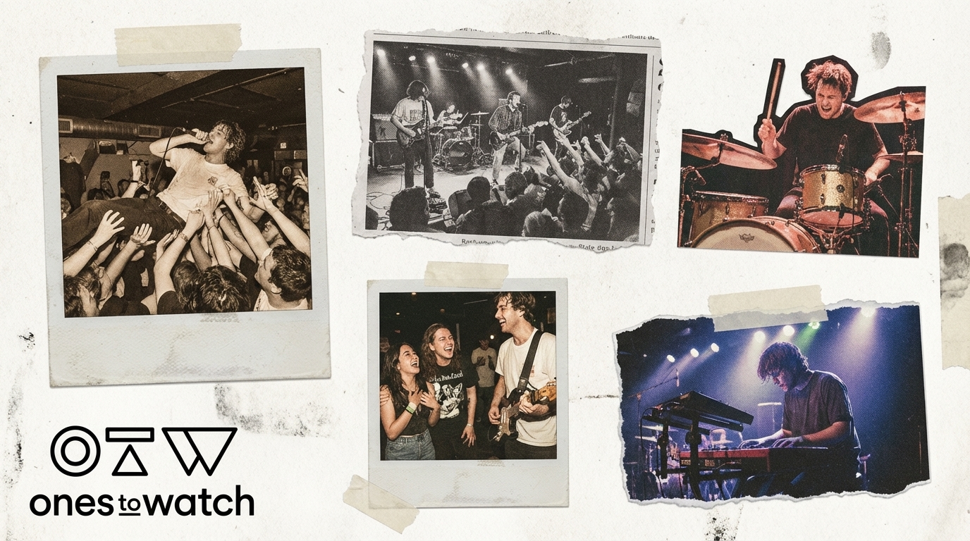 Spotify Algorithm vs Human Music Curation: Complete Guide